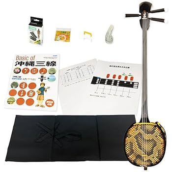 美品 沖縄三線 ケース付 爪 予備弦 付属 和楽器 三味線 蛇皮 沖縄三線 琉球 和楽器 弦楽器 ケース付き - メルカリ
